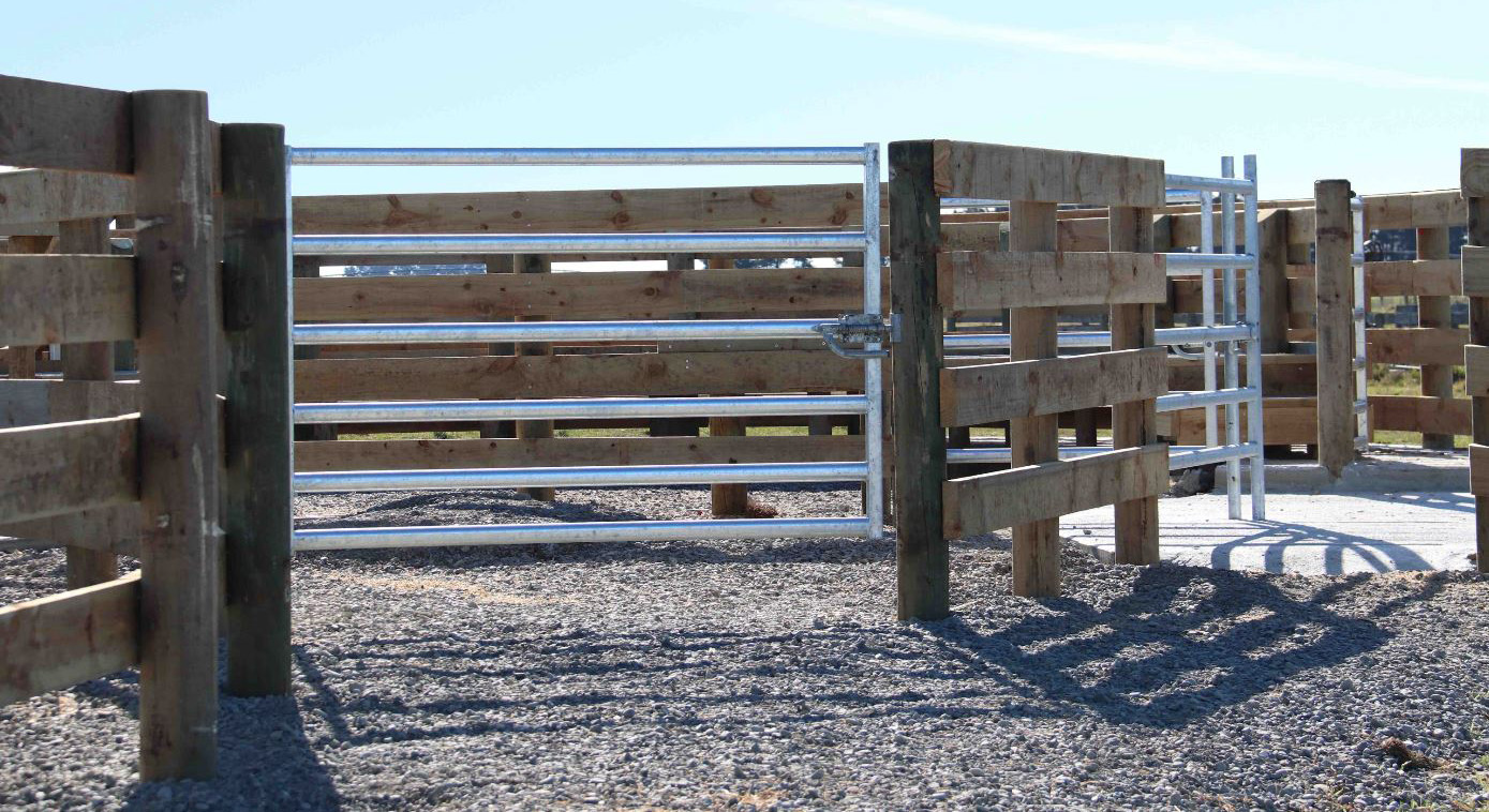 Wide Range of Cattle Gates for Wooden Stockyards Te Pari